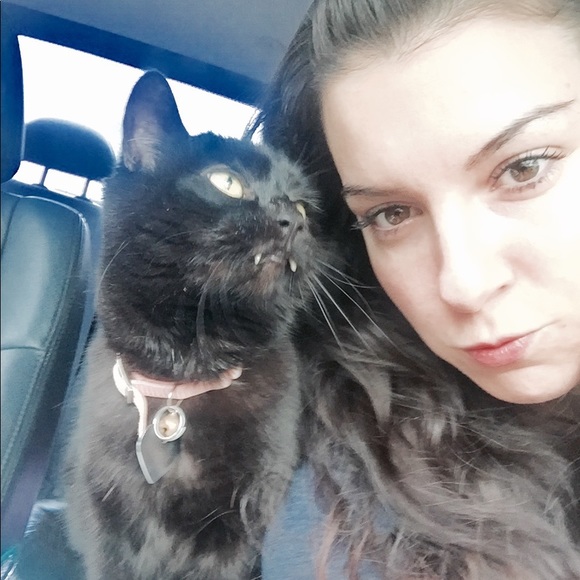 🐱 Please share! ❤️ - Picture 5 of 8